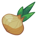 Onion